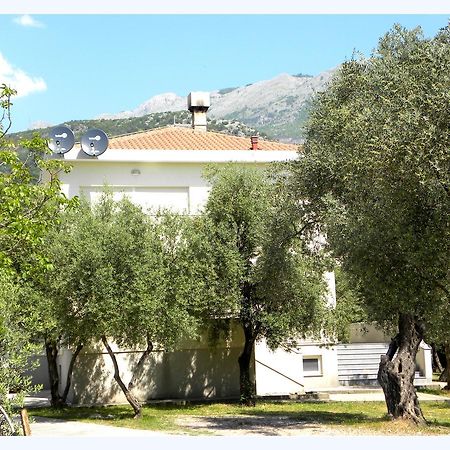 Guesthouse Maslina Будва Екстер'єр фото